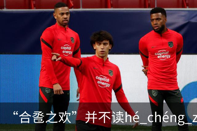 “合卺之欢”并不读hé chéng zhī huān，不要再读错了