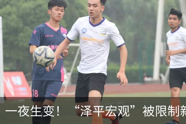 一夜生变！“泽平宏观”被限制新增关注，视频号暂时不受影响