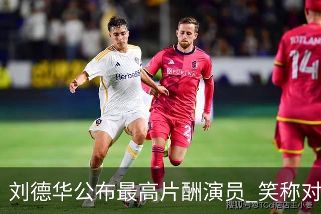 刘德华公布最高片酬演员 笑称对电影投资没有上限