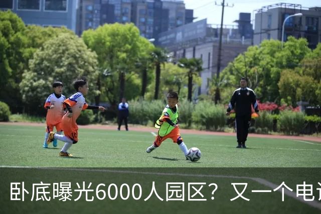 卧底曝光6000人园区？又一个电诈头目浮出水面：不在缅北在柬埔寨
