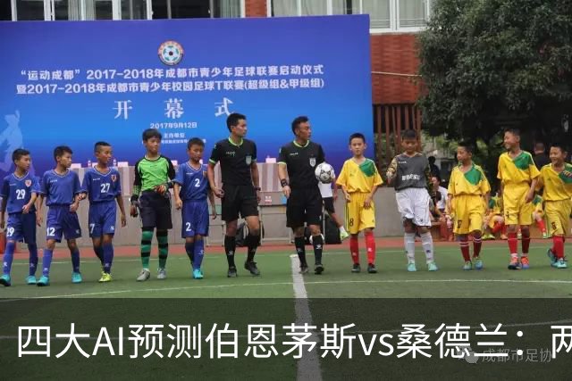 四大AI预测伯恩茅斯vs桑德兰：两家看好主胜，豆包倾向平局