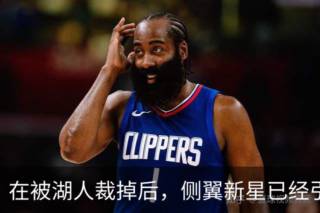 在被湖人裁掉后，侧翼新星已经引起了国王、森林狼和猛龙的关注？