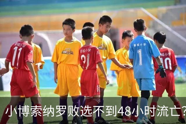 小博索纳罗败选不到48小时流亡？白左毒药还是神药