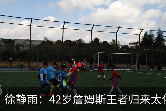 徐静雨：42岁詹姆斯王者归来太伟大！佩服得五体投地 目标总决赛