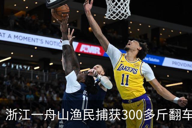浙江一舟山渔民捕获300多斤翻车鱼，已放归大海