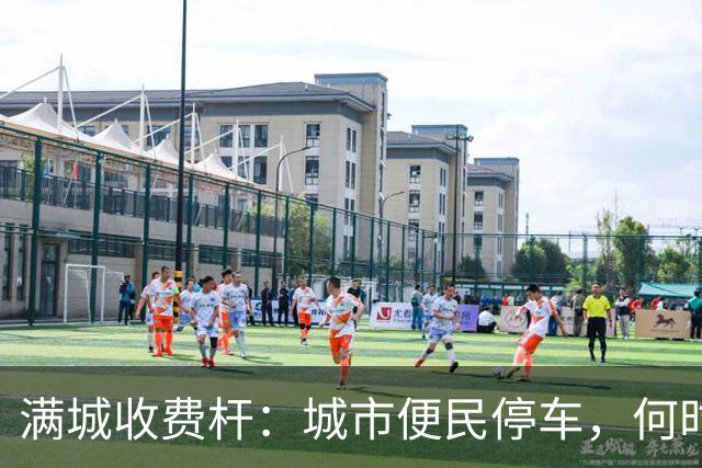 满城收费杆：城市便民停车，何时沦为全民“硬收割”？