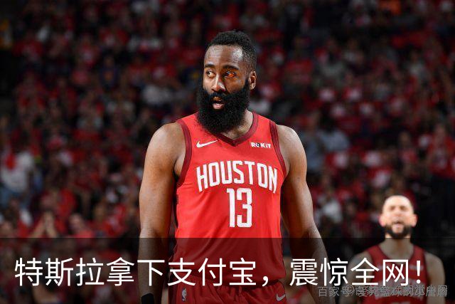 特斯拉拿下支付宝，震惊全网！