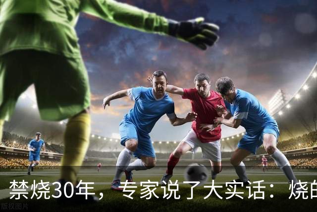 禁烧30年，专家说了大实话：烧的不是秸秆，是农村没啥人了！