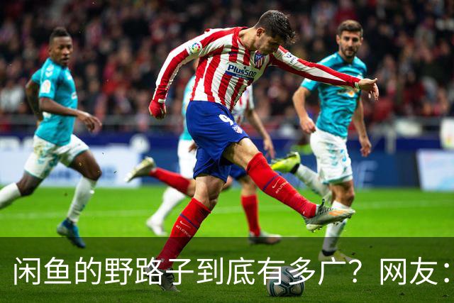 闲鱼的野路子到底有多广？网友：五花八门的啥都有