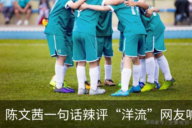 陈文茜一句话辣评“洋流”网友喊话：劝劝老朋友赵少康别再内斗