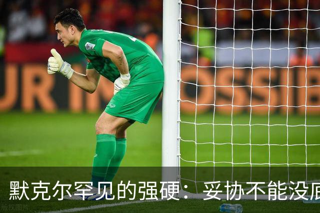 默克尔罕见的强硬：妥协不能没底线，绝不会把德国拱手让给对手！