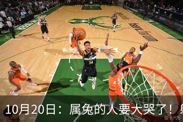 10月20日：属兔的人要大哭了！躲不掉！这都是老天爷的安排