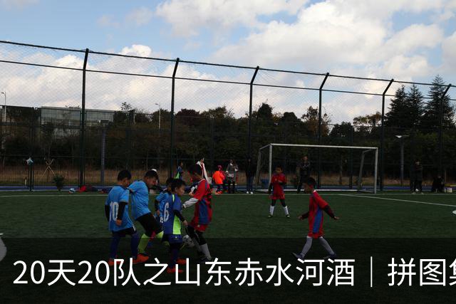 20天20队之山东赤水河酒｜拼图集齐 冲击冠军