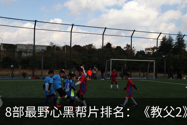 8部最野心黑帮片排名：《教父2》只排第3，第1名长达229分钟